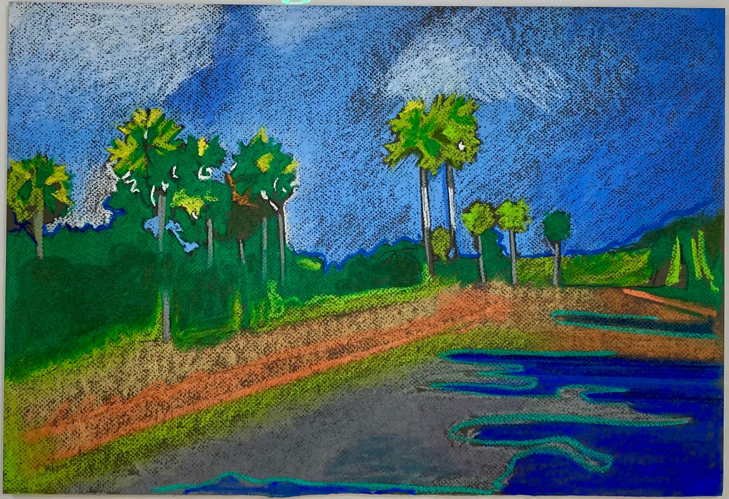 James Vaulkhard Landscape Art - Carmels Palms, Shiribn Hills