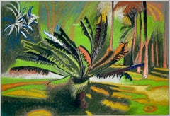 Il giardino di Wimbi Reef