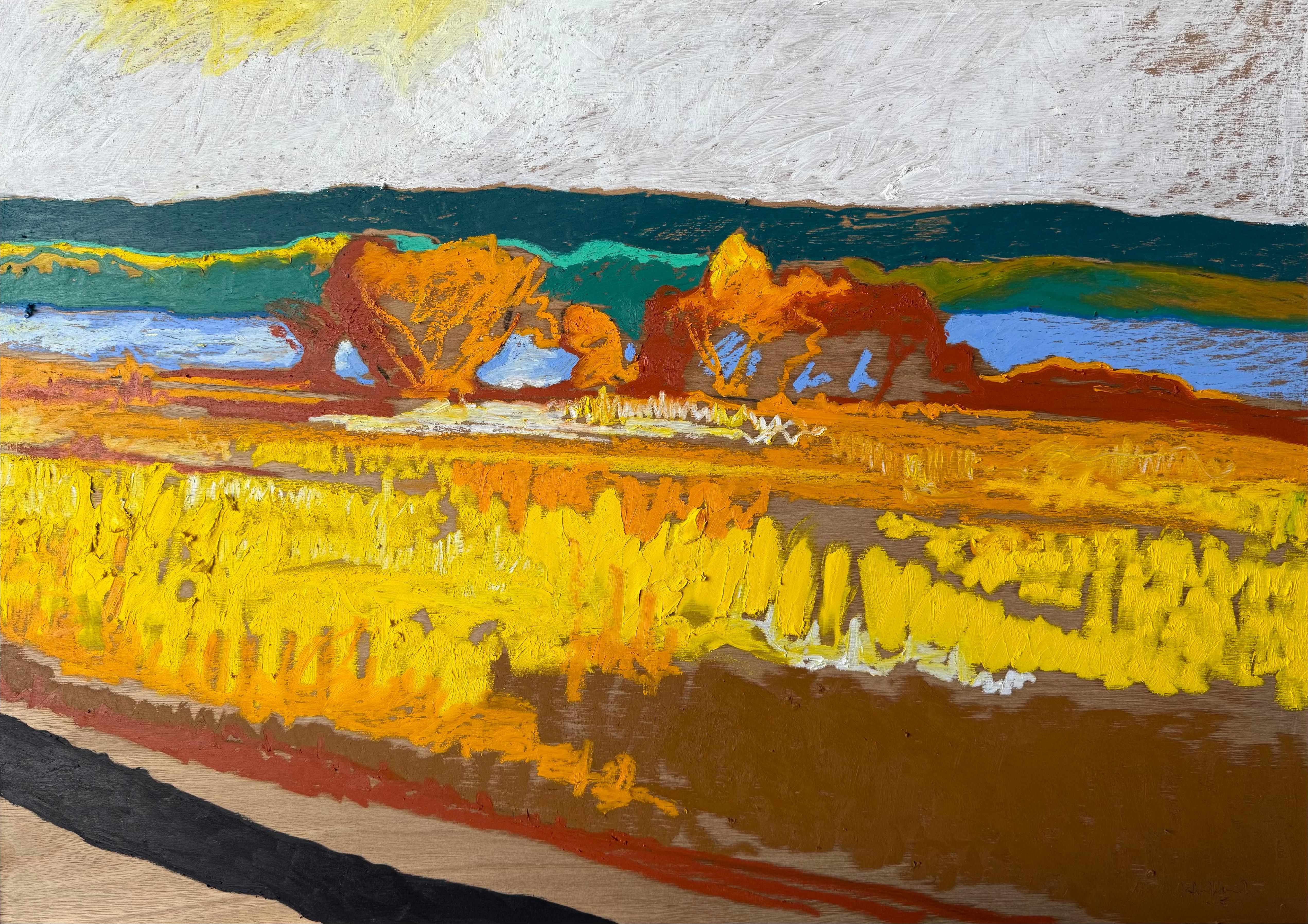 Landscape Art di James Vaulkhard - Il fiume Missouri
