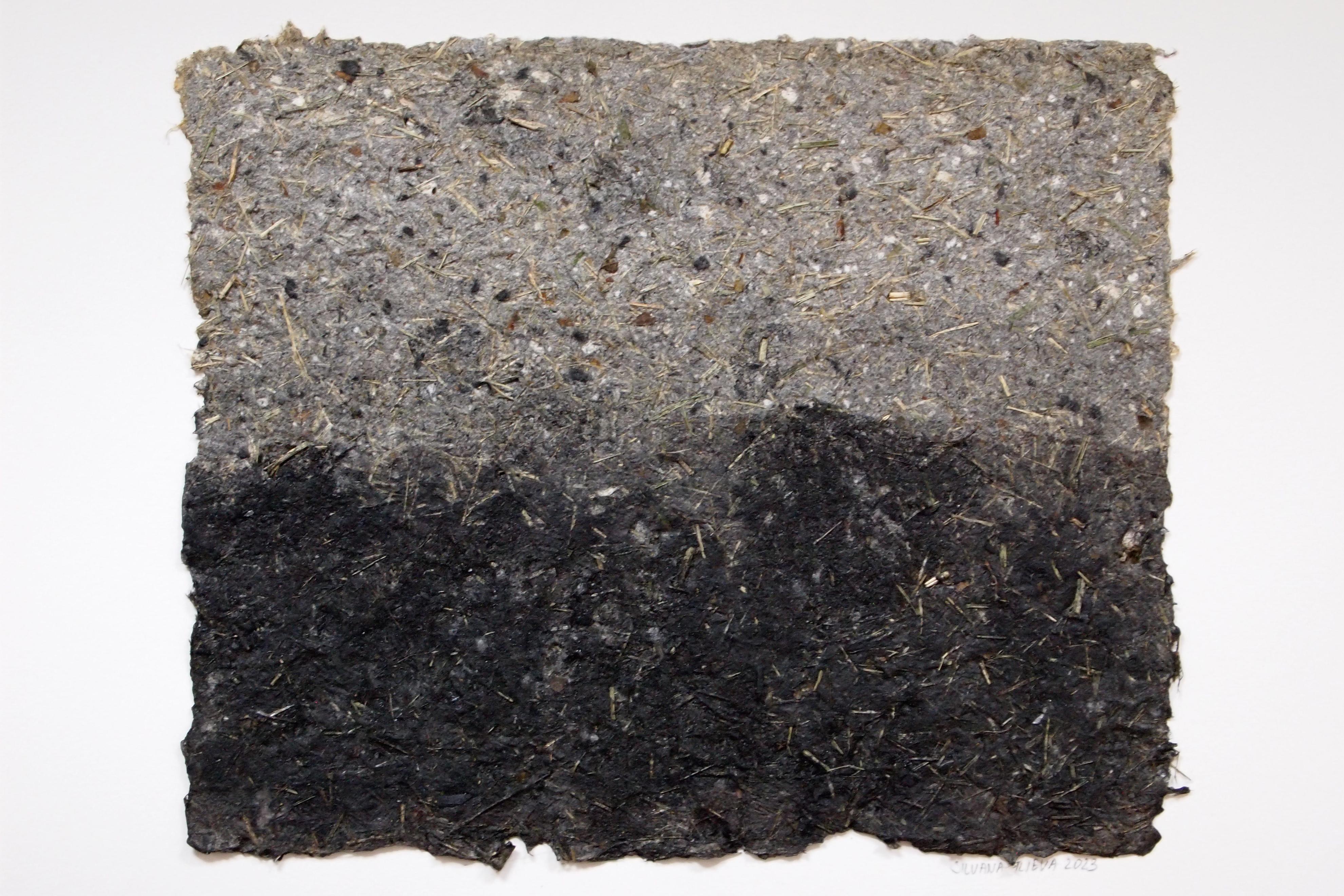 Contemporary handmade paper artwork with plants, charcoal and ink – abstract landscape in grey and black.
This artwork is part of a series of contemporary handmade paper works created from natural plant materials, including flowers and herbs