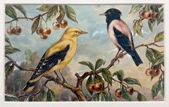 Martin roselin et Loriot - Aquarelle gouachée représentant deux oiseaux