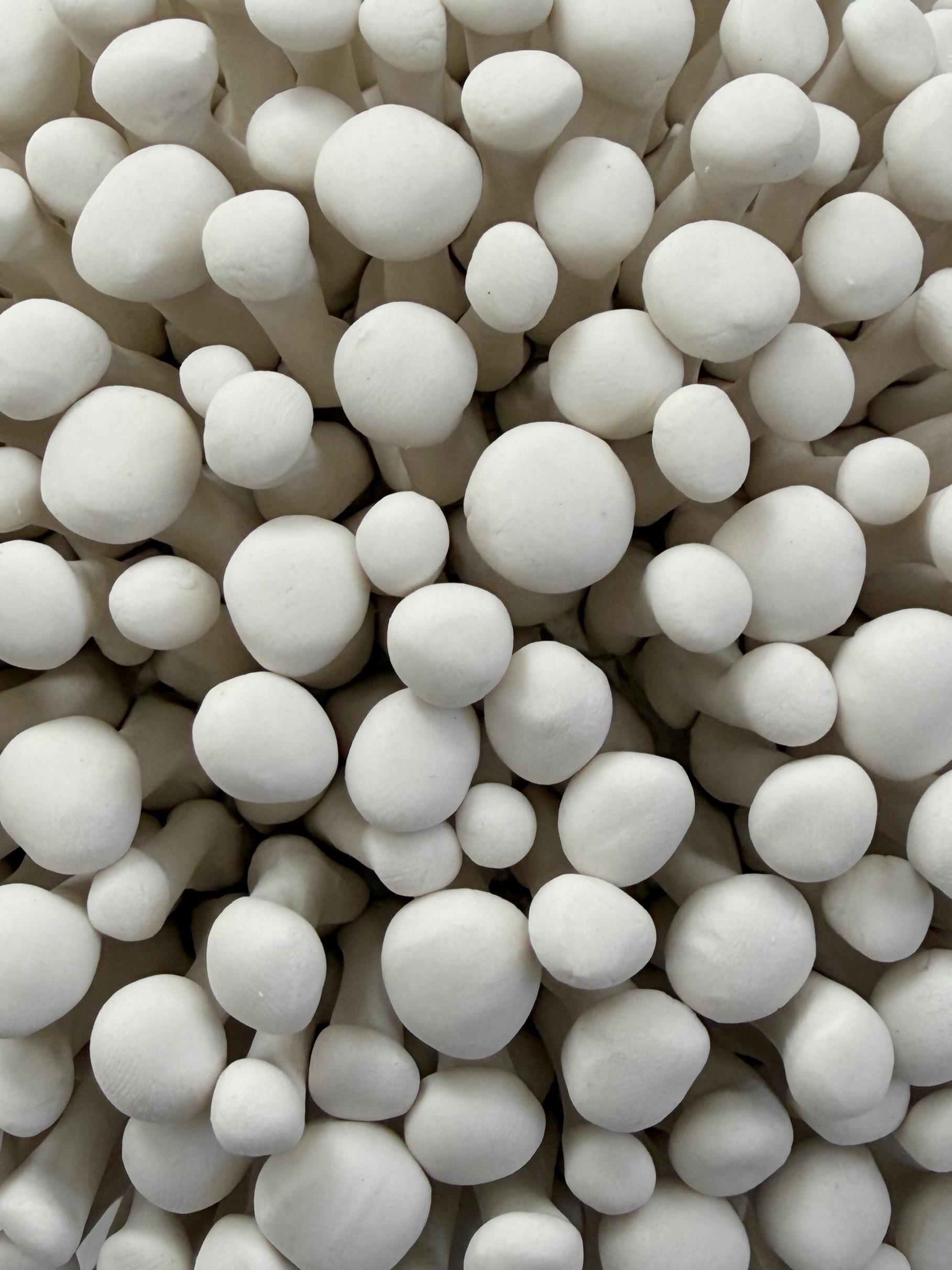 Element Clay Studio - Porcelain Wall Sculpture Installation, Set of ...