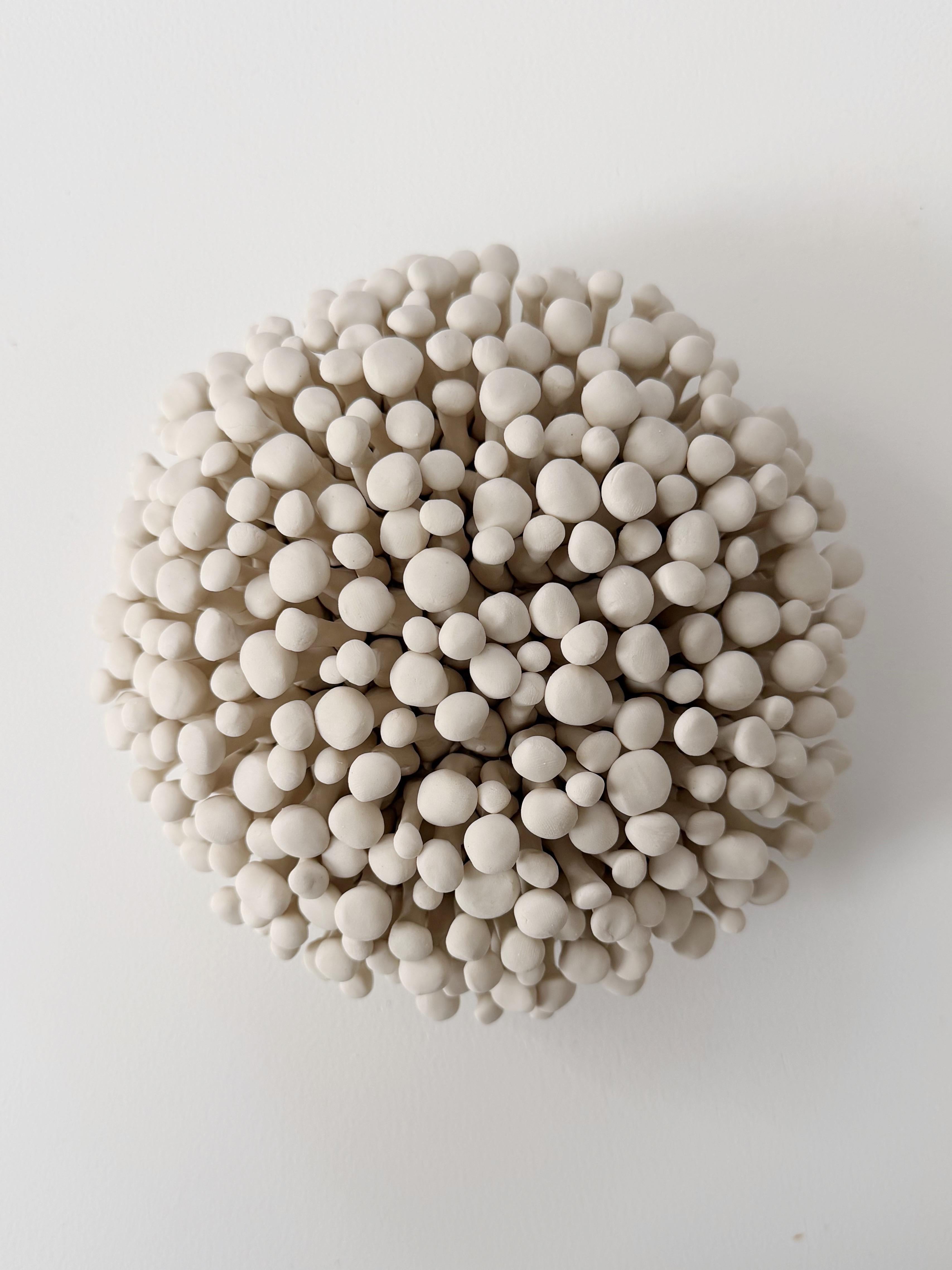 Element Clay Studio - Porcelain Wall Sculpture Installation, Set of ...