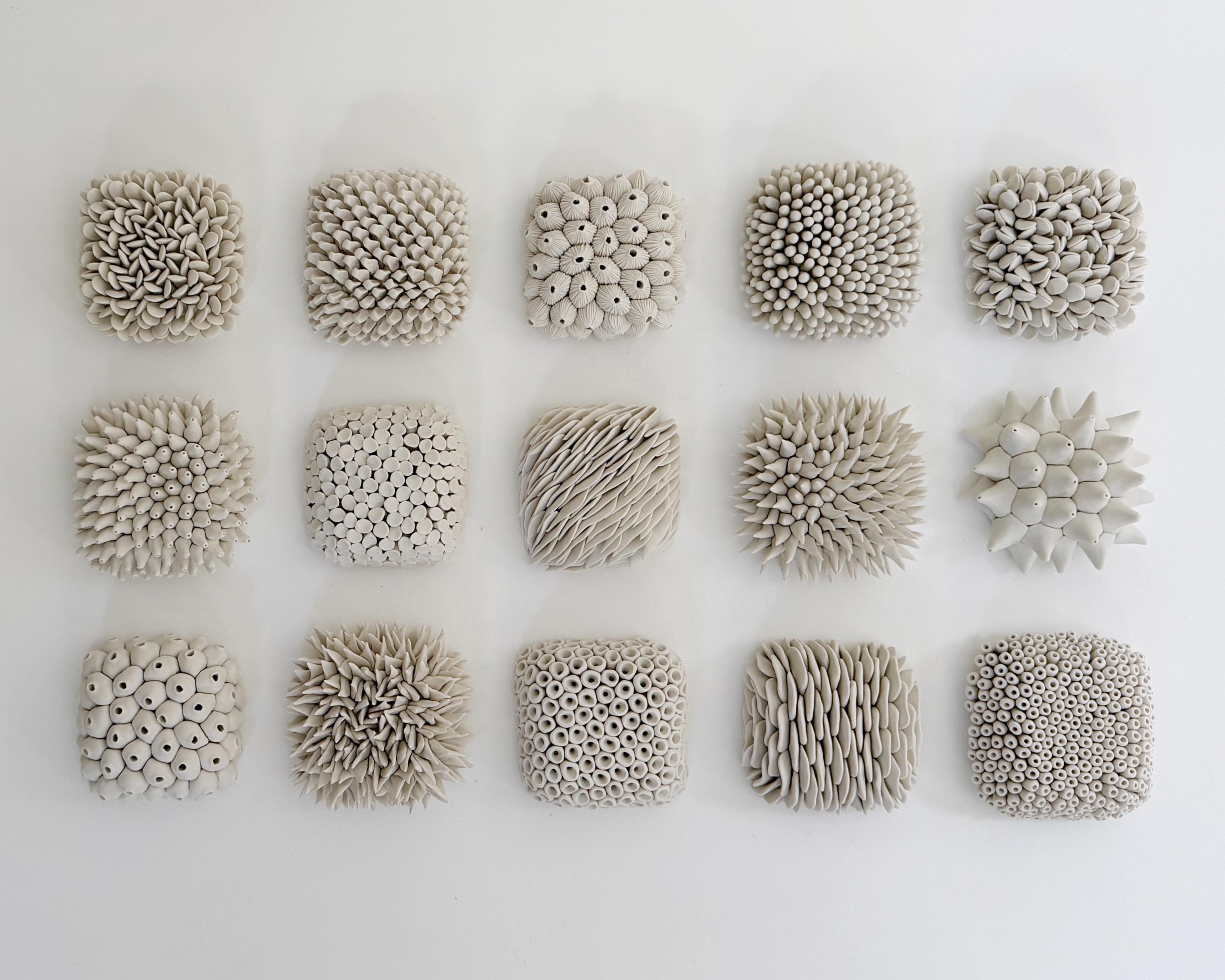 Shoreline is a one-of-a-kind ceramic wall installation composed of fifteen hand-sculpted porcelain tiles, each exploring a distinct texture inspired by coastal landscapes, botanical forms, coral structures, seed pods, and organic patterns found in