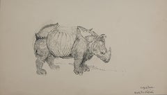 Lila de Nobili. Dürer's Rhinoceros. ca. 1960. Ink on paper. 17.5 x 30 cm.