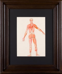 Leonor Fini. "Costume d’écorche". ca. 1950. Watercolor on paper. 37 x 39 cm.