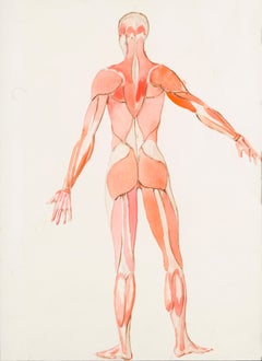 Leonor Fini. "Costume d’écorche". ca. 1950. Watercolor on paper. 37 x 39 cm.