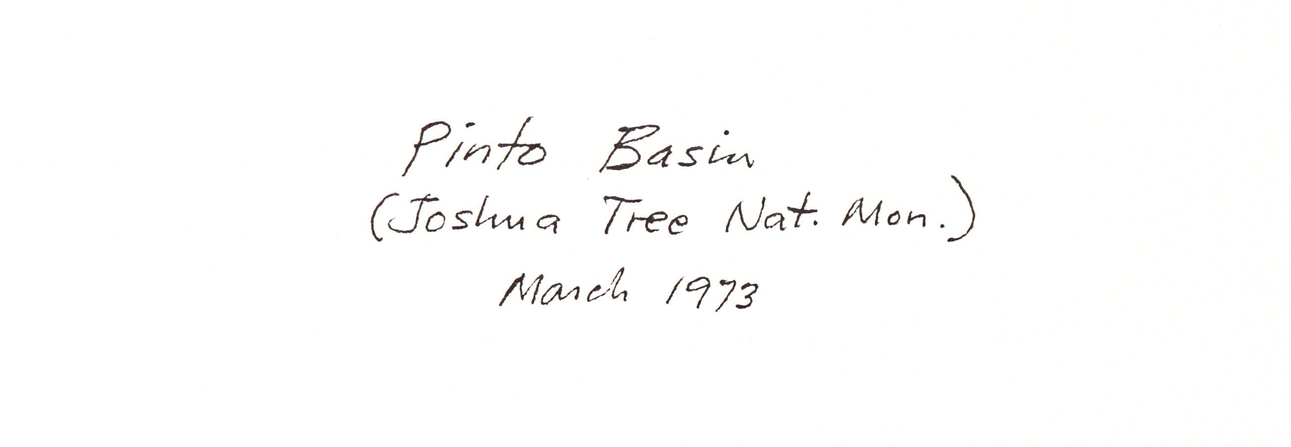 „Pinto Basin“, Aquarell, 1973 (Moderne), Art, von Olof Dahlstrand