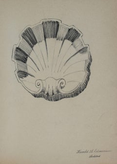 Seashell Architectural Detail Drawing in Graphite, 1920s