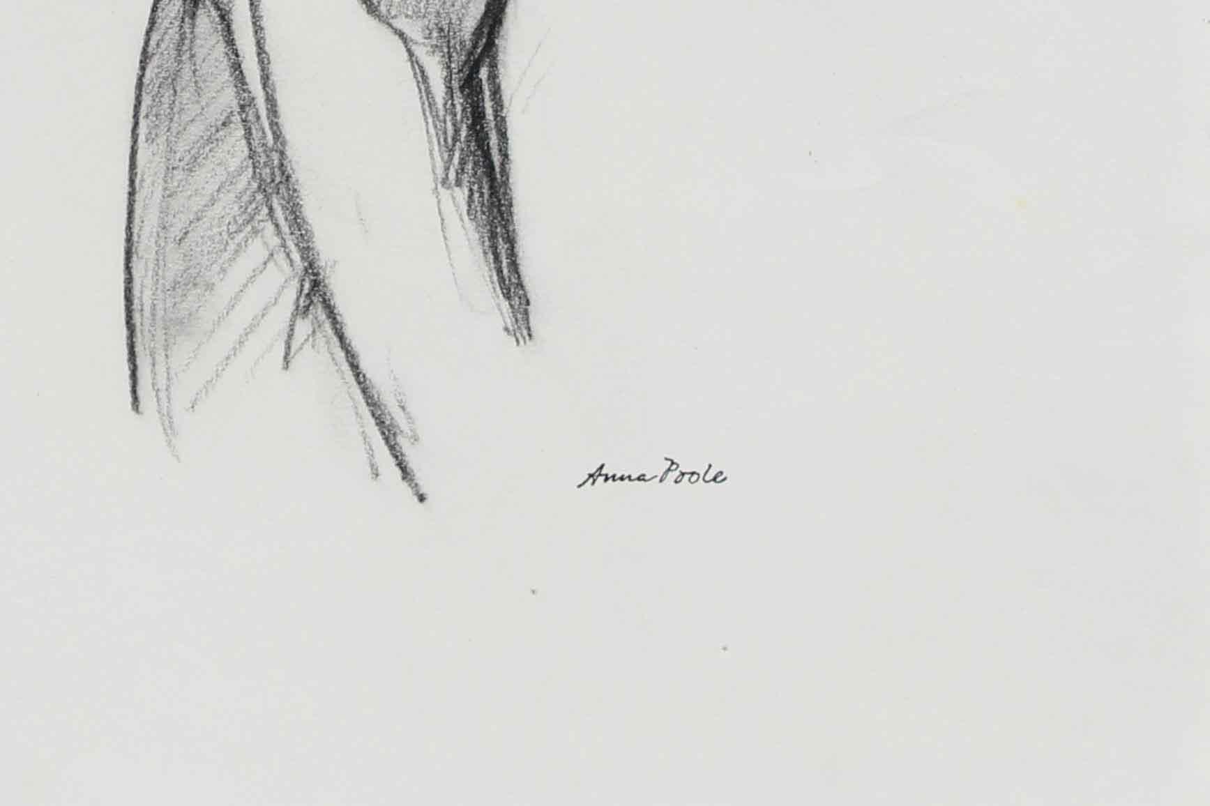 Monochromatic Figure Drawing, Graphite on Paper, Late 20th Century - Contemporary Art by Anna Poole