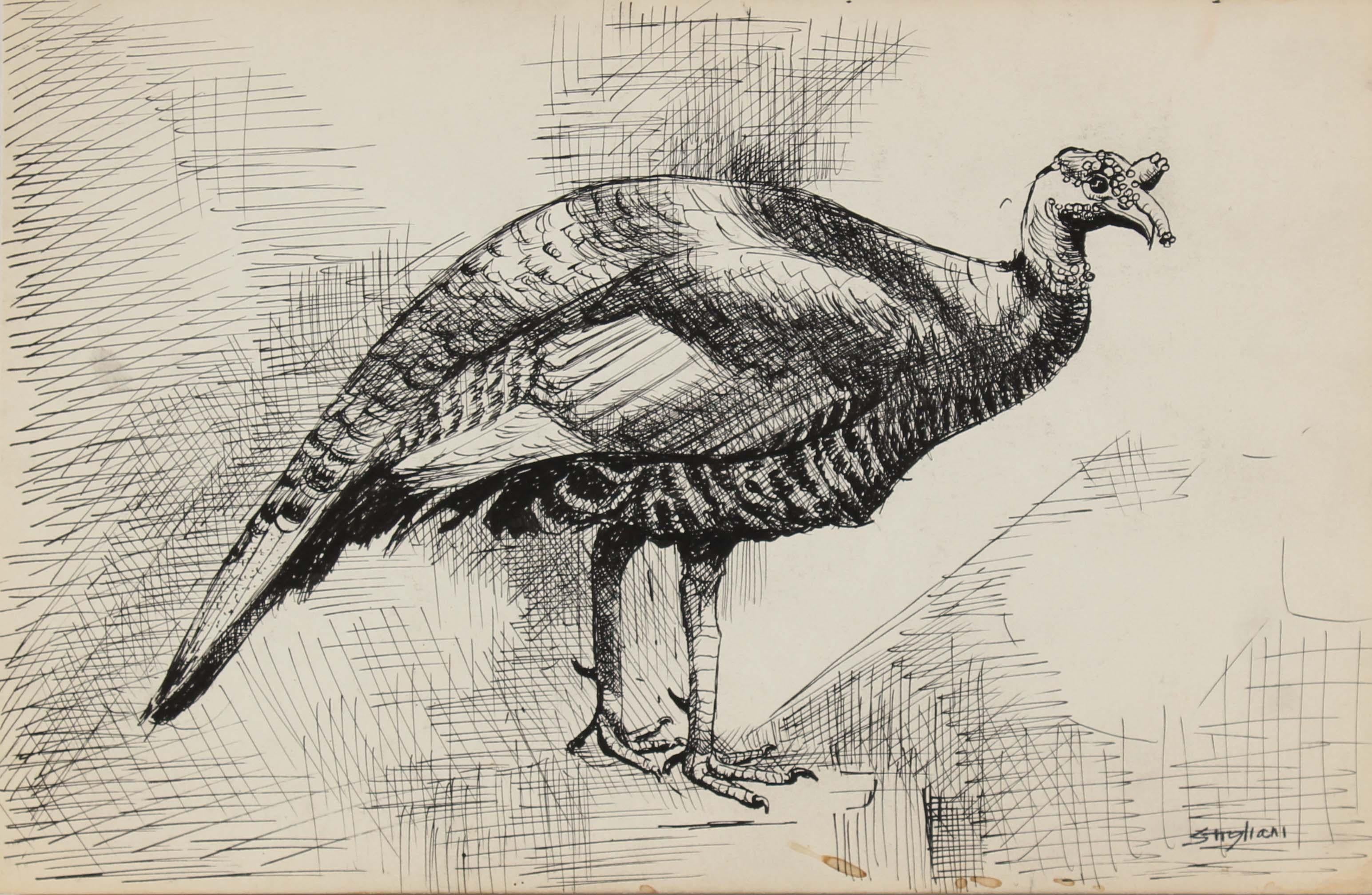 Pasquale Patrick Stigliani Animal Art - New York City Drawing of Turkey in Graphite