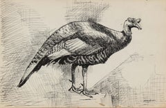 1980s Animal Drawings and Watercolors