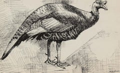 New York City Drawing of Turkey in Graphite