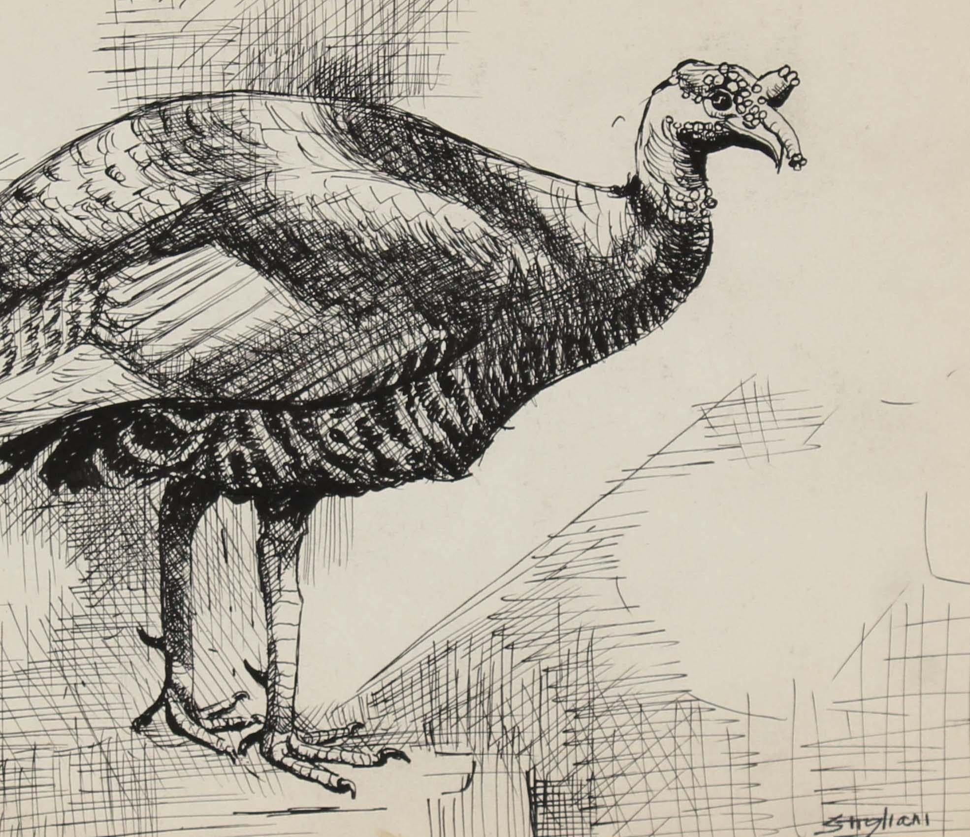 turkey animal drawing