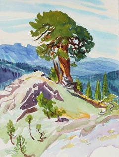 Vintage "Ancient Juniper" Watercolor on Paper 