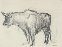 Mexican Bull in Graphite, Circa 1947