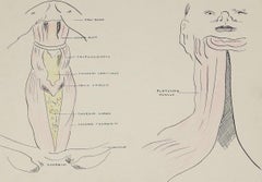 Academic Throat Study 1950s Mixed Media