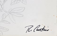 Simple Botanical Drawing Mid Century Graphite