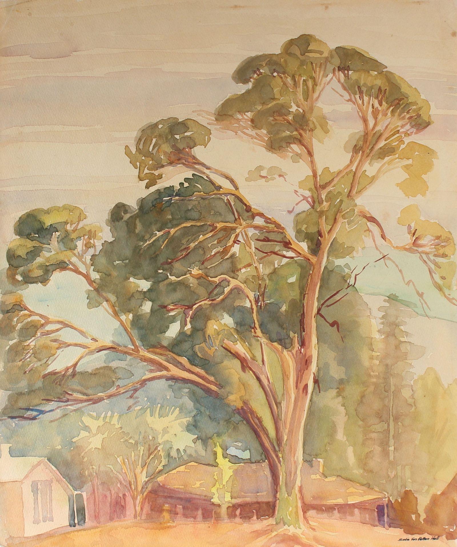 Sadie Van Patten Hall Landscape Art - Eucalyptus Watercolor Mid Century California