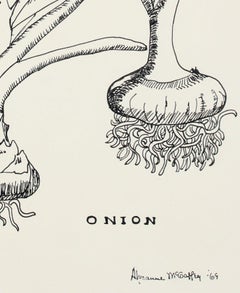 "Onion" 1969 Still Life Botanic Ink Drawing