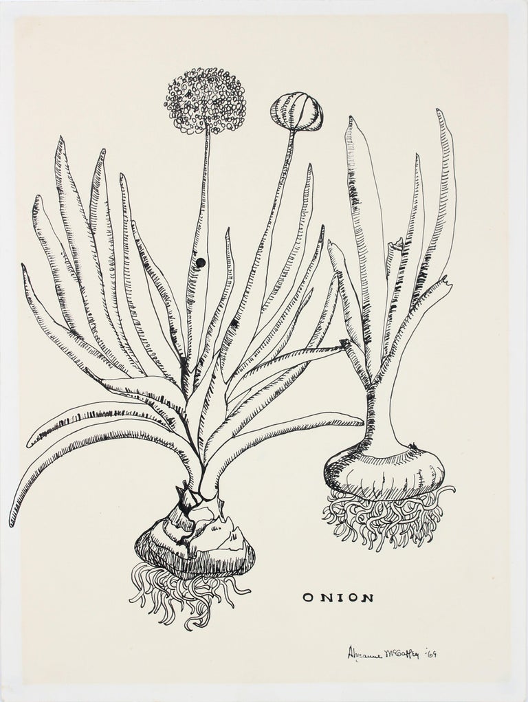Alysanne McGaffey Still-Life - "Onion" 1969 Still Life Botanic Ink Drawing