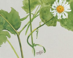 Étude botanique à l'aquarelle du 20e siècle « Flower in Our Camp »