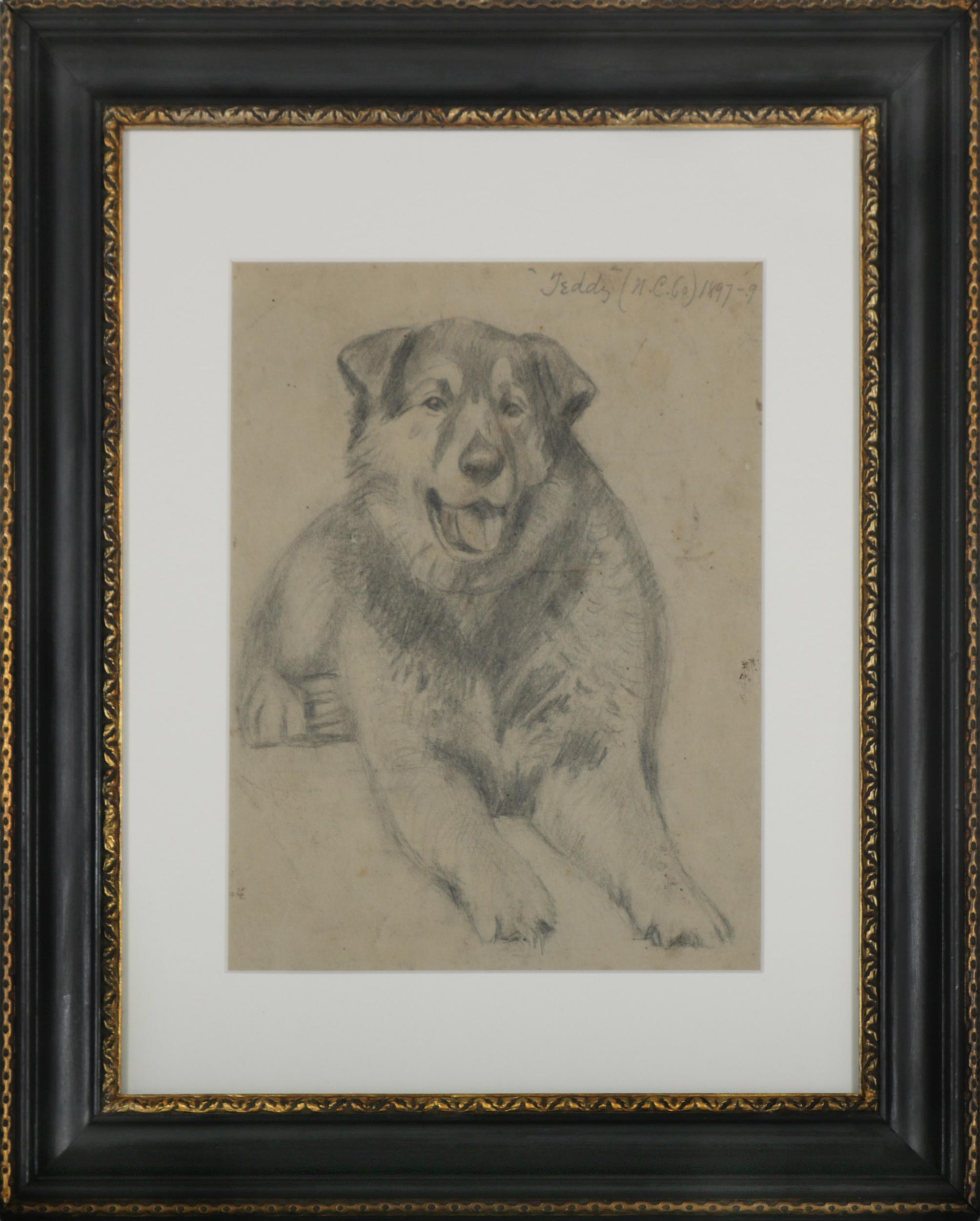 Unknown Animal Art - "Teddy" 1897-1899 Graphite Drawing of a Dog