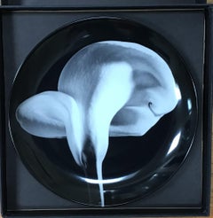 Piatto in porcellana con motivo di calla