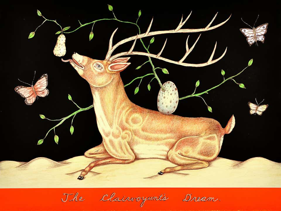 The Clairvoyant's Dream
