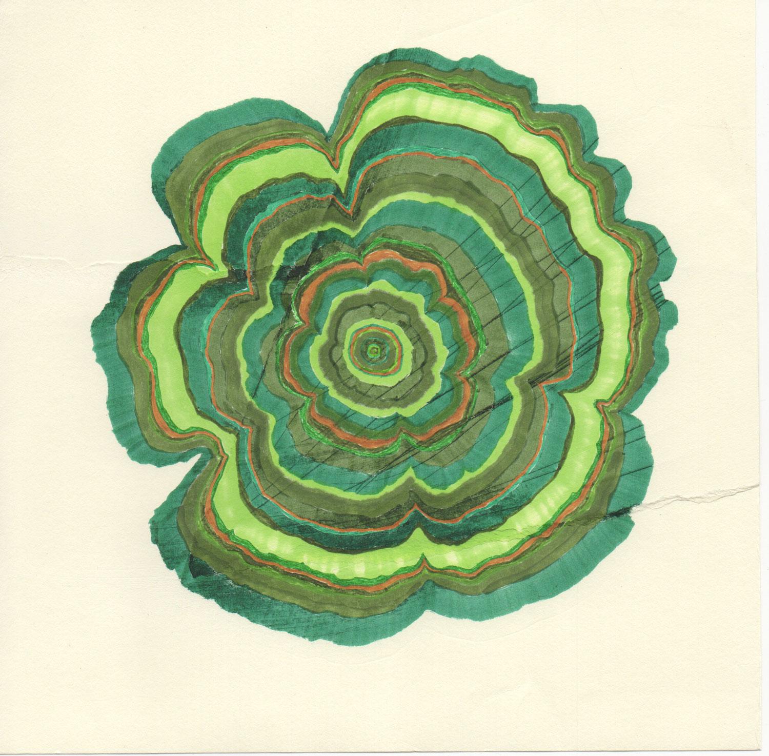 162 Jahre (Serie „Tree Rings“ (Zeitgenössisch), Art, von Steven L. Anderson