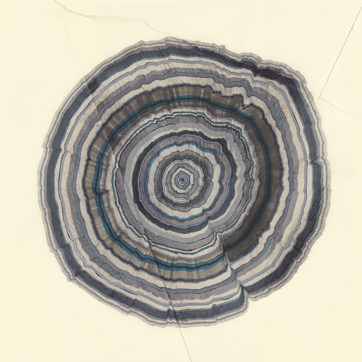 Steven L. Anderson
63 Years, 2015
marker and pen on paper
16 x 16 inches

The Tree Rings artworks are made on paper which is torn and reassembled, scratched, and sanded. From there, they are built in perhaps the same way that trees grow: starting in