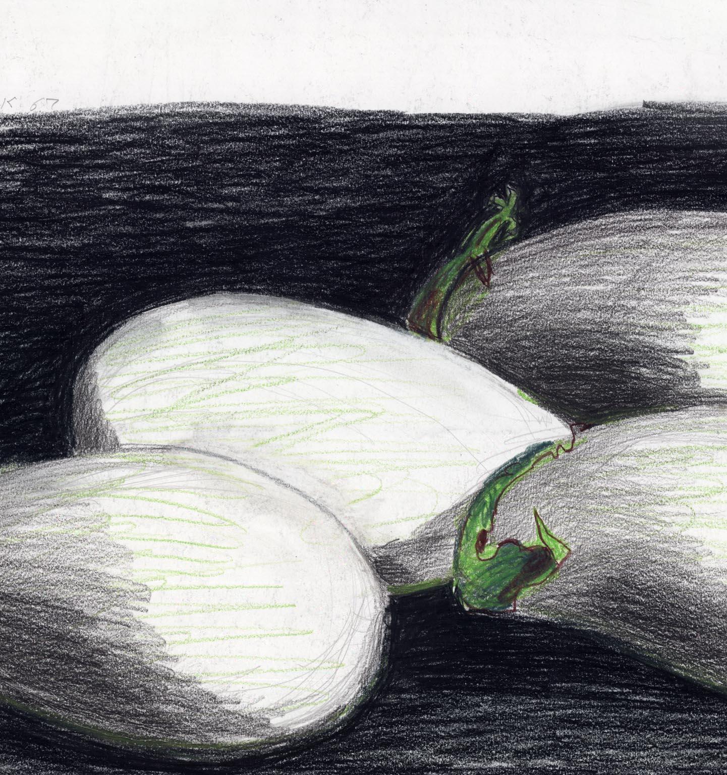 eggplant drawing black and white