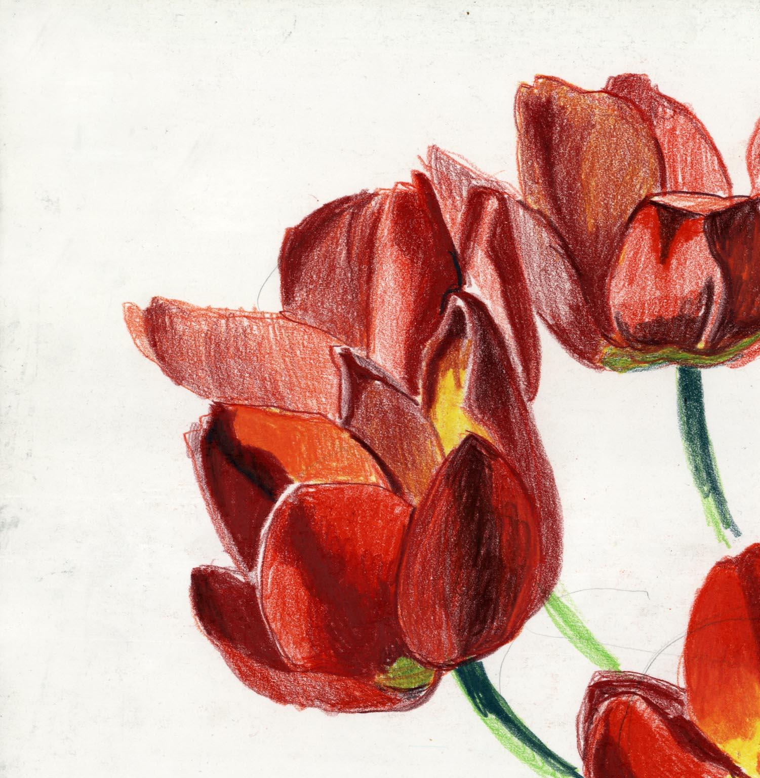 Red Tulips - Art by Emilio Sanchez