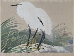 White Herons and Wild Sweet Flag Flowers