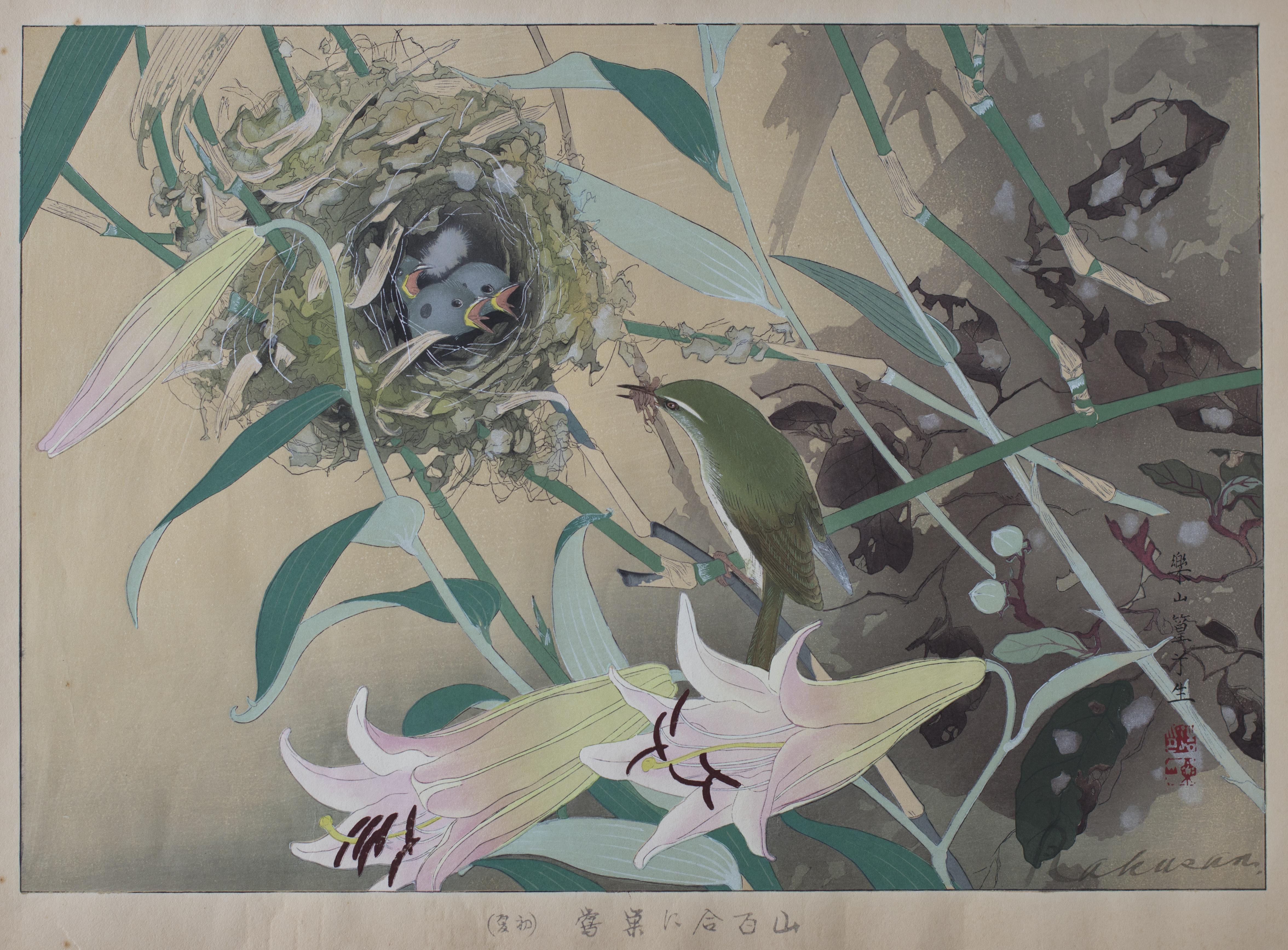 Tsuchiya Rakusan Animal Print - Bamboo Lily and Japanese Nightingale Nest