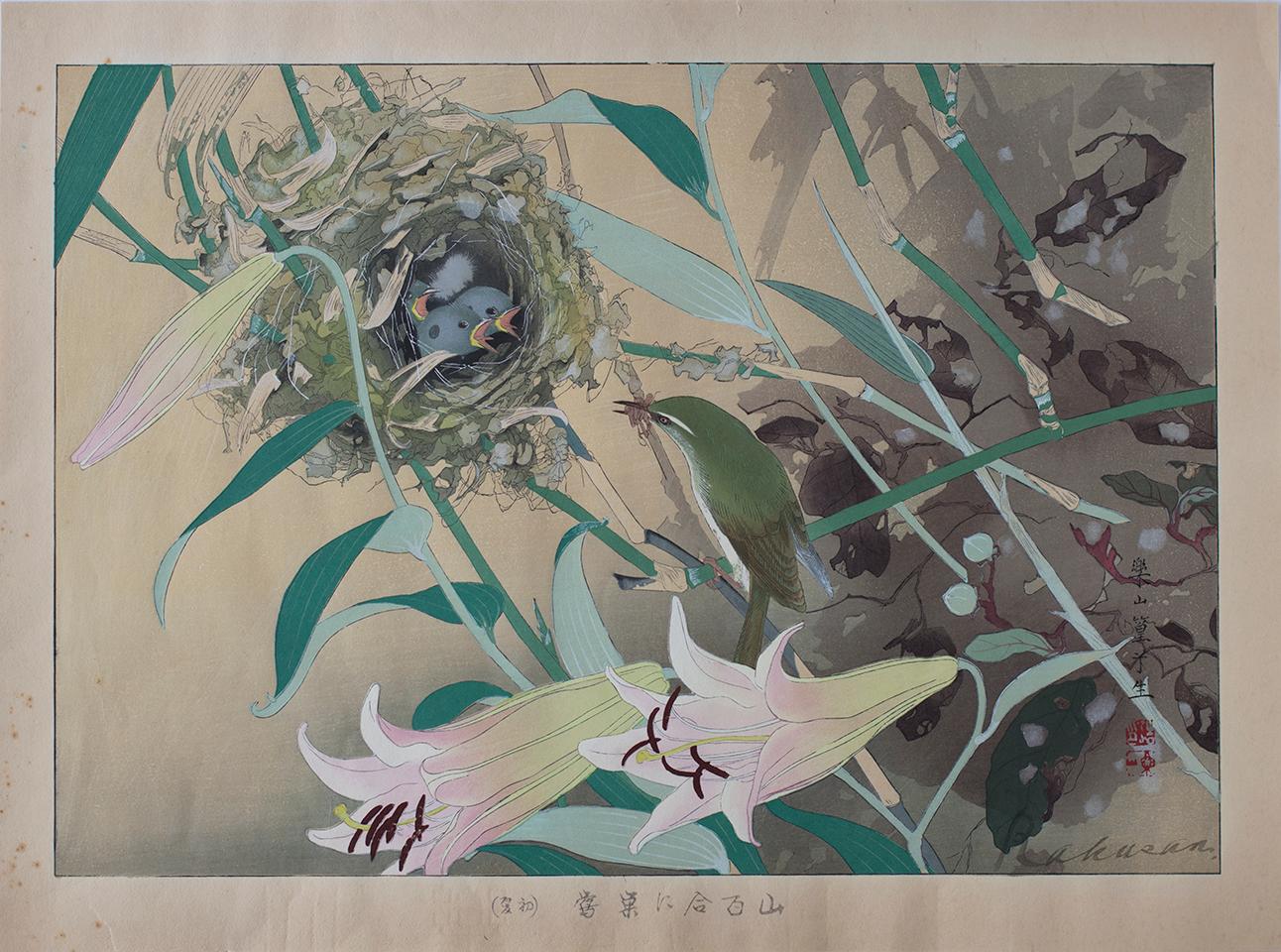 Bamboo Lily and Japanese Nightingale Nest - Print by Tsuchiya Rakusan