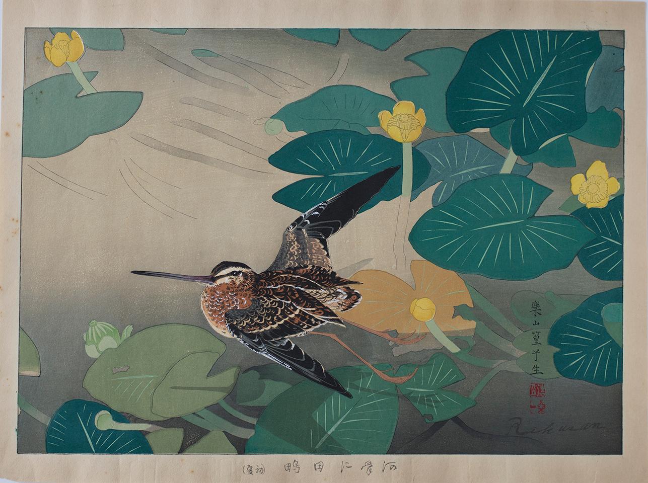 Sandpiper and Yellow Lotus Flower - Print by Tsuchiya Rakusan