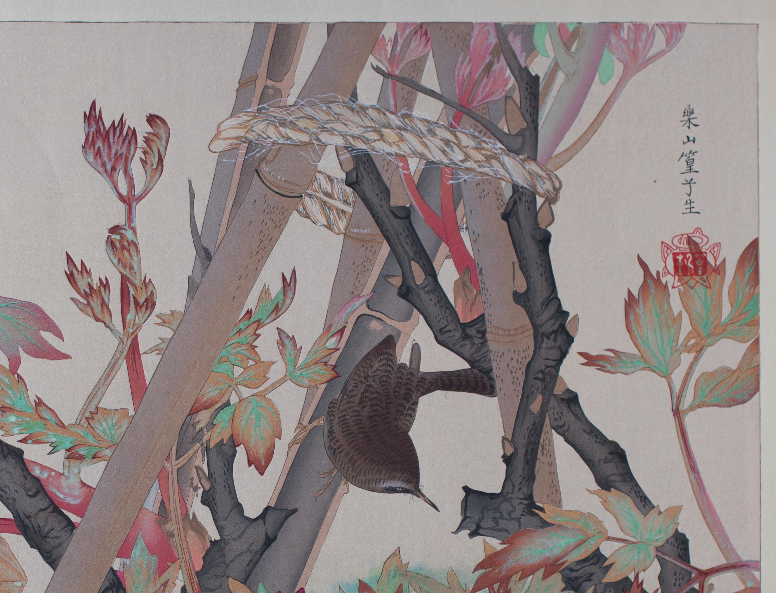 Winter Wren and Peonies - Showa Print by Tsuchiya Rakusan
