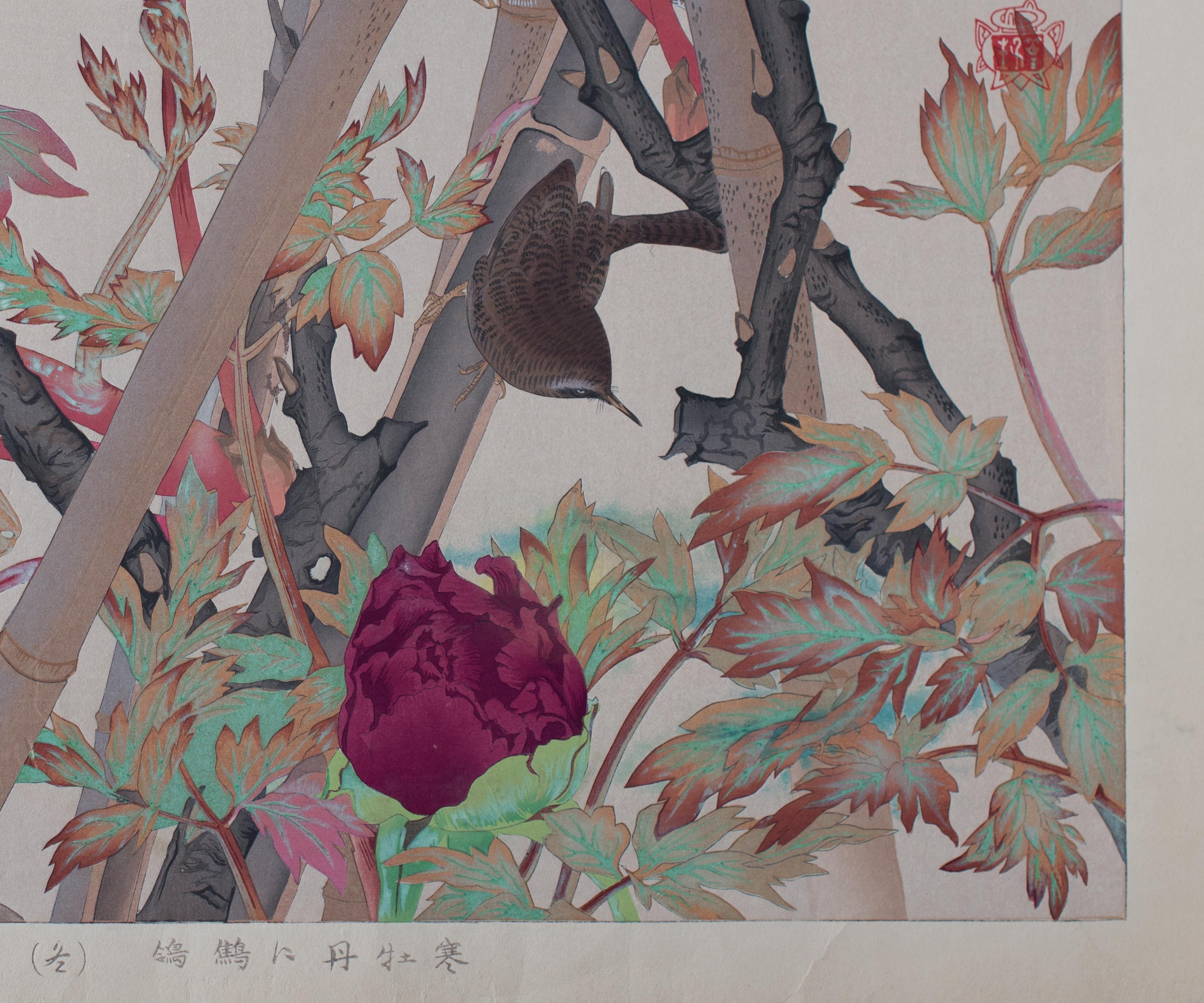 Winter-blooming Tree-Peony and Winter Wren. Number 11 in Rakusan’s finest bird-and-flower series. The Japanese title may be translated “Winter-blooming Tree-peonies and Wren (Winter)” {Kan botan ni misosazai (fuyu)}. A sophisticated composition, we