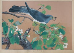 Cuckoo and Wild Pear Flowers 