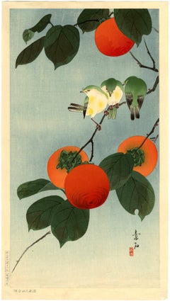 White Eyes and Persimmons