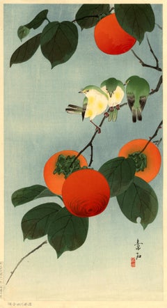 White Eyes and Persimmons