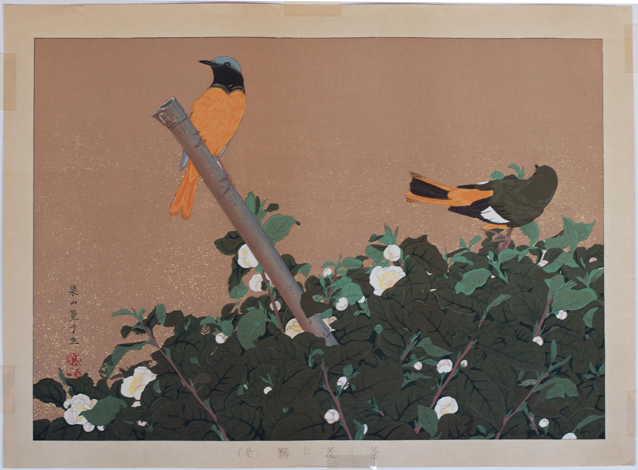 Tea Flowers and Redstart Birds - Print by Tsuchiya Rakusan