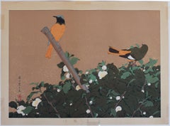 Tea Flowers and Redstart Birds