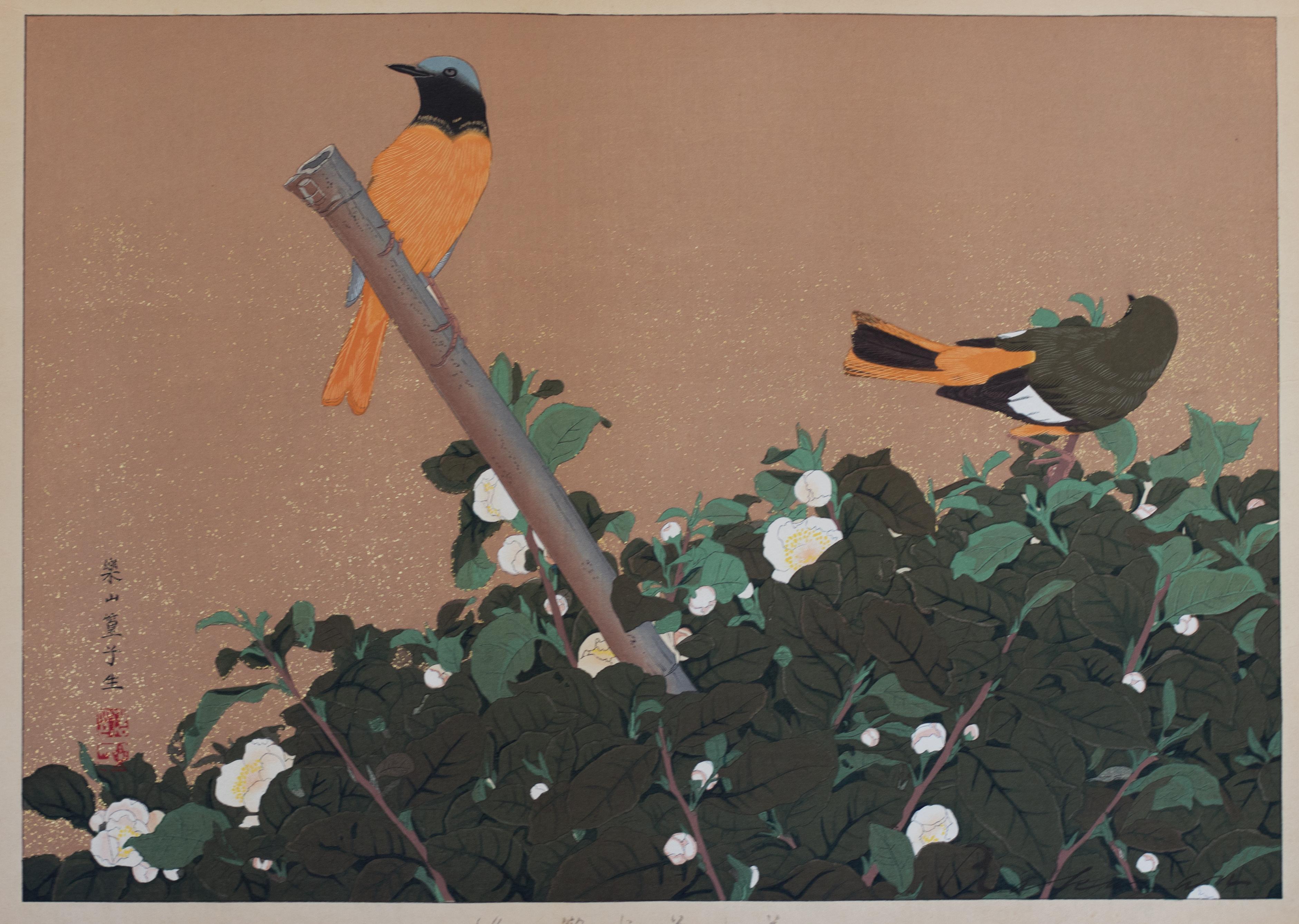 Tsuchiya Rakusan Landscape Print - Tea Flowers and Redstart Birds