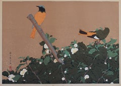 Tea Flowers and Redstart Birds