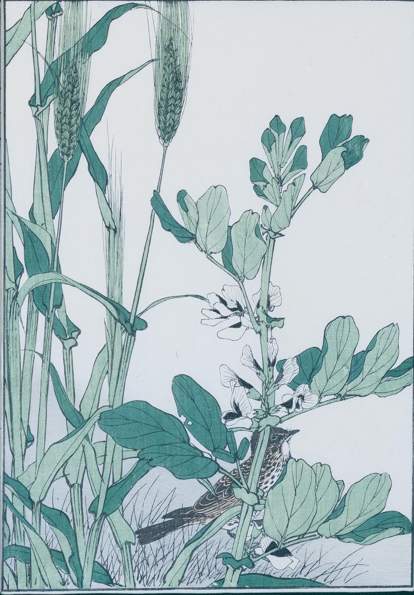 Original Japanese Watercolor and Woodblock Print of a Lark, Barley and Beans - Art by Imao Keinen