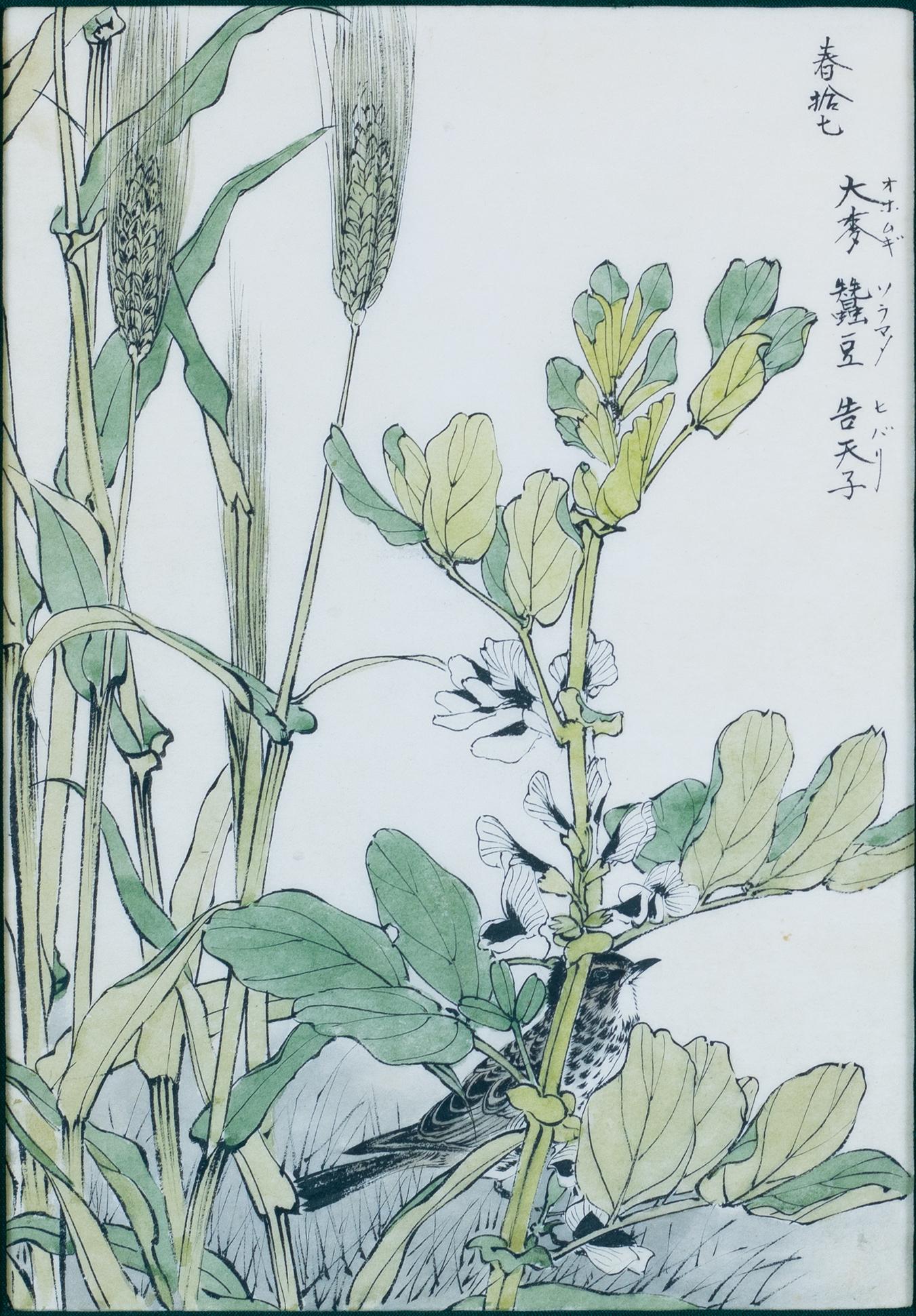 Original Japanese Watercolor and Woodblock Print of a Lark, Barley and Beans - Gray Landscape Print by Imao Keinen