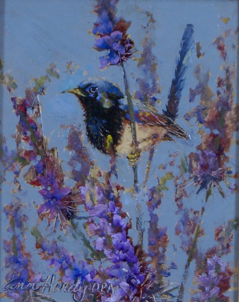 Wren - Painting by Ann Hardy