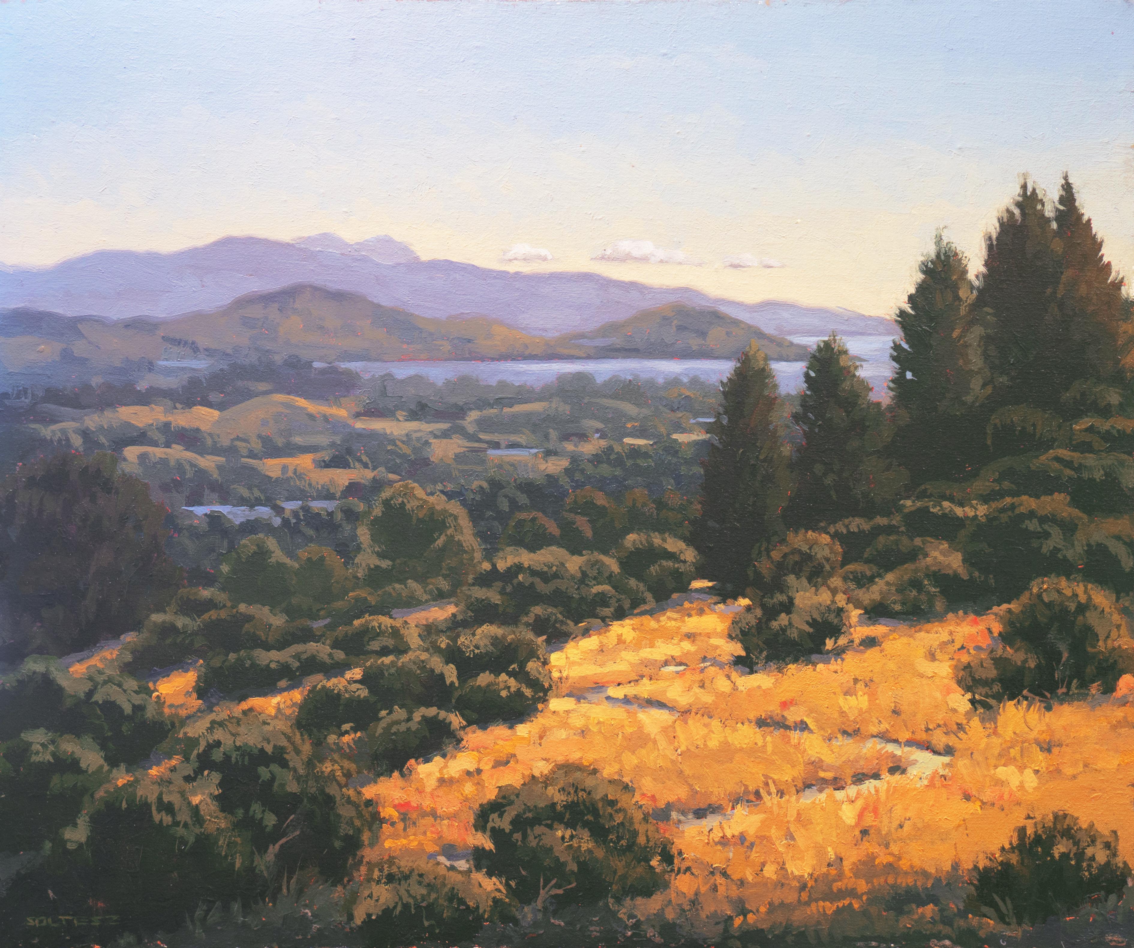 J. Thomas Soltesz Landscape Painting - 'California Coast',  San Francisco Academy of Art, Plein Air oil
